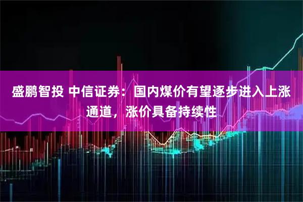 盛鹏智投 中信证券：国内煤价有望逐步进入上涨通道，涨价具备持续性