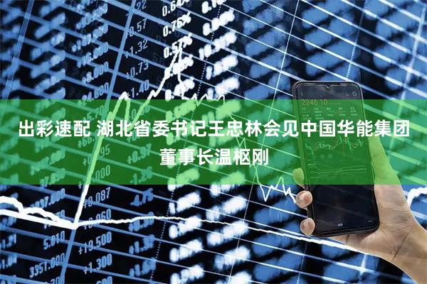 出彩速配 湖北省委书记王忠林会见中国华能集团董事长温枢刚