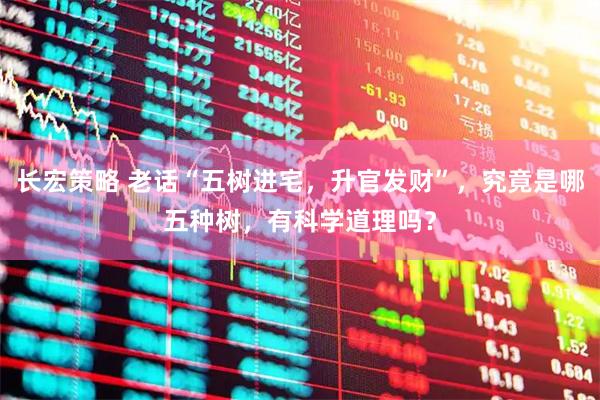 长宏策略 老话“五树进宅，升官发财”，究竟是哪五种树，有科学道理吗？