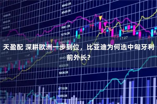 天盈配 深耕欧洲一步到位，比亚迪为何选中匈牙利前外长？