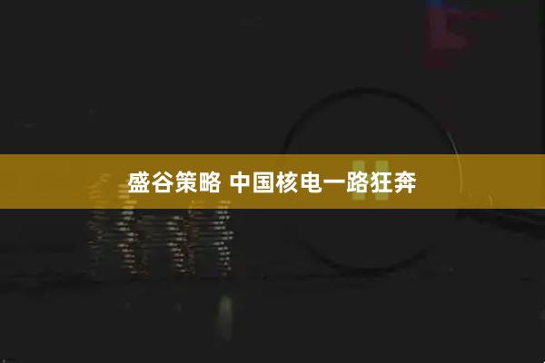盛谷策略 中国核电一路狂奔
