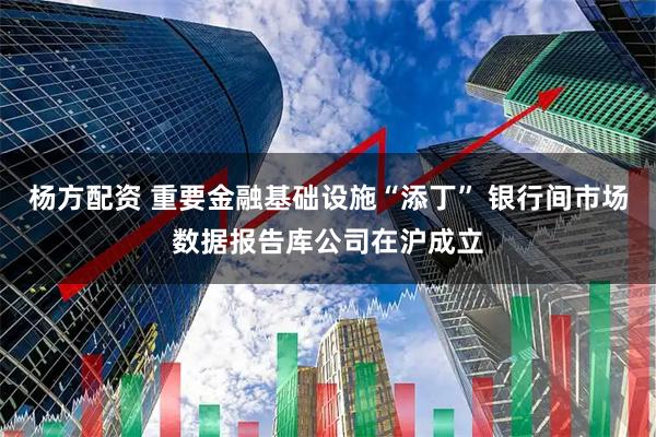 杨方配资 重要金融基础设施“添丁” 银行间市场数据报告库公司在沪成立