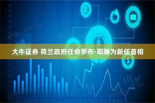 大牛证券 荷兰政府任命罗布·耶滕为新任首相