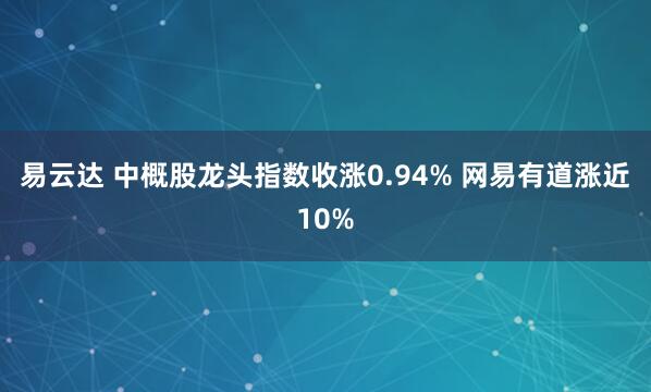 易云达 中概股龙头指数收涨0.94% 网易有道涨近10%