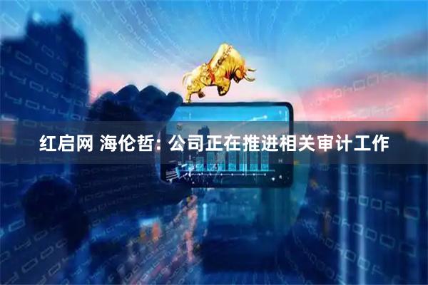 红启网 海伦哲: 公司正在推进相关审计工作