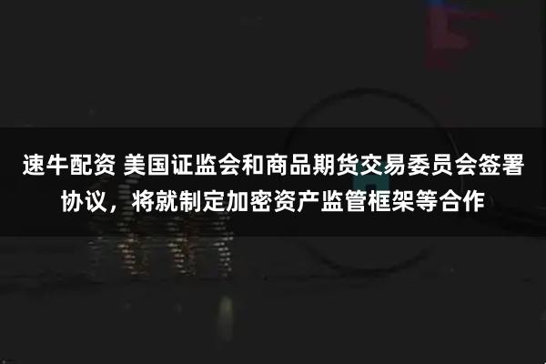 速牛配资 美国证监会和商品期货交易委员会签署协议，将就制定加密资产监管框架等合作