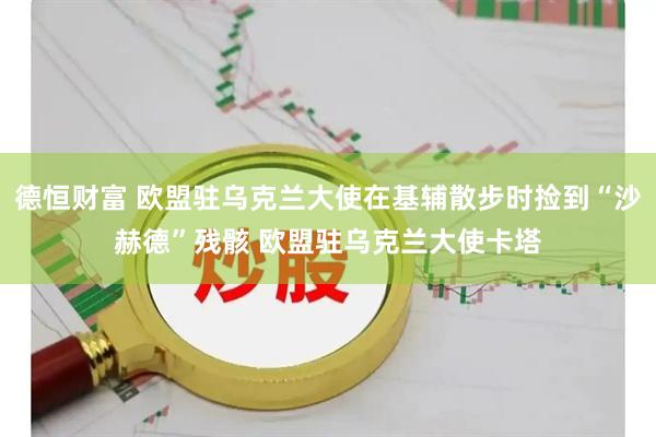 德恒财富 欧盟驻乌克兰大使在基辅散步时捡到“沙赫德”残骸 欧盟驻乌克兰大使卡塔