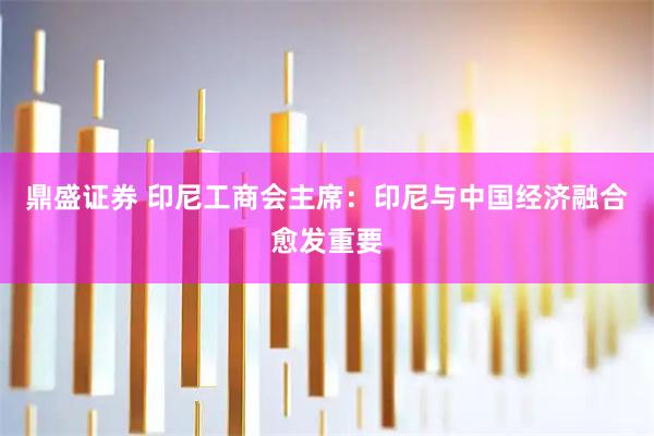 鼎盛证券 印尼工商会主席:印尼与中国经济融合愈发重要