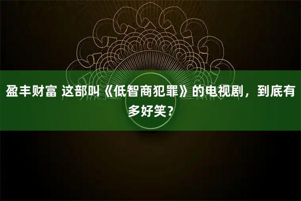 盈丰财富 这部叫《低智商犯罪》的电视剧，到底有多好笑？