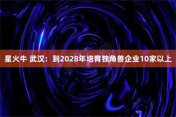 星火牛 武汉：到2028年培育独角兽企业10家以上
