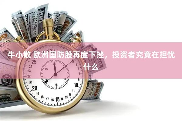 牛小散 欧洲国防股再度下挫，投资者究竟在担忧什么
